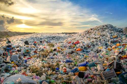Jak prosto ograniczyć plastikowe odpady w domu?
