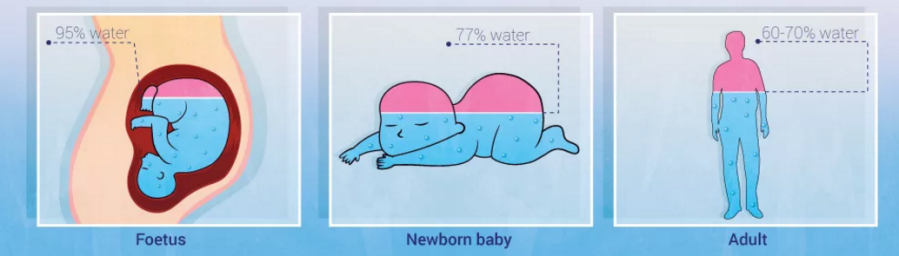 FireShot Capture 35 27 Fascinating And Strange Facts About https www.buzzfeed.com tomchiver